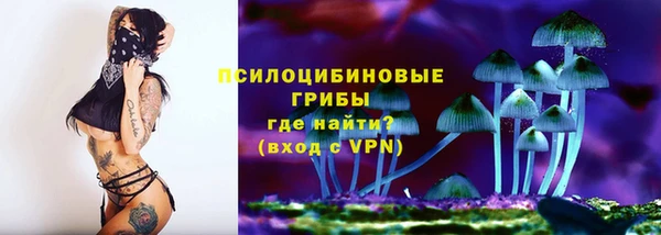 Альфа ПВП Богданович