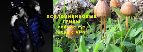 альфа пвп Богородск