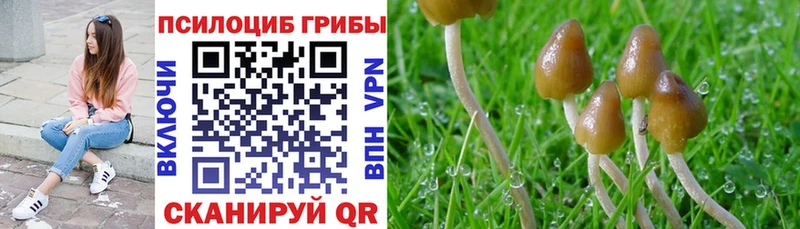 Галлюциногенные грибы MAGIC MUSHROOMS Оренбург
